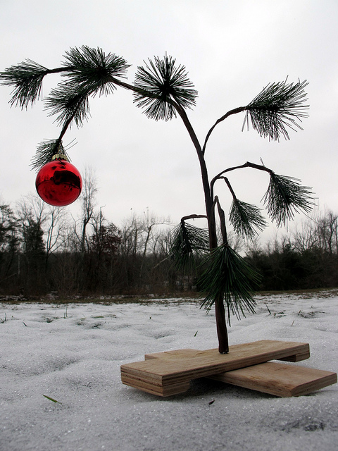 Excellent featured image is "Charlie Brown Christmas" by frankieleon on Flickr, used under Creative Commons License 2.0.